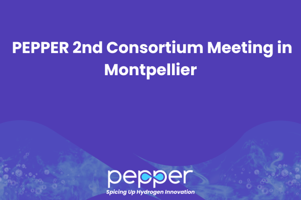 PEPPER 2nd Consortium Meeting in Montpellier