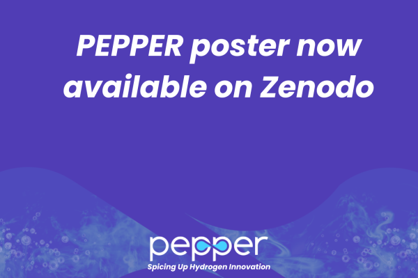 PEPPER poster now available on Zenodo