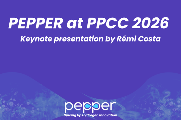 PEPPER at PPCC 2026: Keynote presentation by Rémi Costa